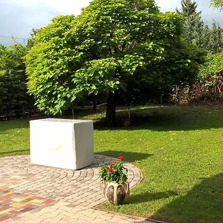 Magyar Tenger Pihenohaz, For 2-8 Person, 105 M2, Garden, Pool, Free Parking, 5 Min From The Lake, * بالاتوناكاراتيا