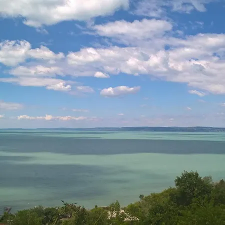 Magyar Tenger Pihenőház, For 2-8 Person, 105 M2, Garden, Pool, Free Parking, 5 Min From The Lake,